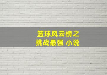 篮球风云榜之挑战最强 小说